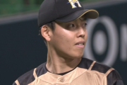 杉浦稔大(29) 53登板 2.73 2勝2敗27S K/BB3.05 WHIP1.03