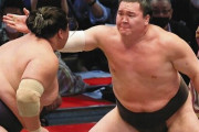 【悲報】白鵬翔さん、全勝優勝したのに引退しろと言われまくってしまう