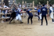 【悲報】先進国日本さん、馬を蹴って殴って大はしゃぎ。これ国が認めたお祭りです