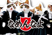 News】ネオス「Sパチスロなめ猫QQ」が検定通過！