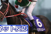 【この謎】なんでオーストラリアの競馬民ってあんなにリスグラシューにんほってるんだろって思ってた【YouTube】