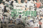 【悲報】日刊スポーツさん、選手名鑑の表紙に阪神荒木を起用