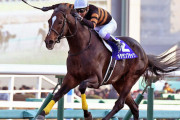 純粋な逃げ馬が有馬記念を勝ったことは今までないという事実