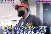 【日本ハム】レイエス テレビ東京系列 Youは何しに日本へでインタビュー！