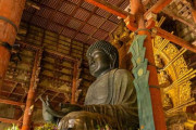 ワイ、初めて奈良観光し感動の涙を流す
