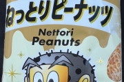 【画像】新発売のガリガリくんのねっとりピーナッツ味買ったわ