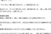 落選した中道女性議員「ママ普通の人になっちゃった…」