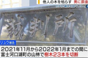 「富士山が見えなったから」他人の敷地の樹木23本伐採した中国人に罰金30万円判決