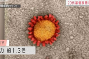 【ヤバイ】新型コロナがほぼ全国で感染力の強い『N501Yの変異ウイルス』に置き換わったと、国立感染症研究所が分析