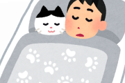 【朗報】猫が寝るときに布団の中じゃなく上に乗るようになったｗｗｗｗｗｗｗｗｗｗｗｗｗ