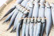イワシって、まずいよね？ 魚臭くて苦手 おいしい食べ方って、あるの？