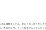 坂道46G、メンバーがお話枠の完売目標を言及するなど総選挙並の争いに突入wwwwww