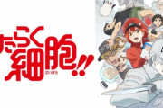 1期→2期で超絶劣化したTVアニメといえば・・・・