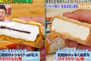 マツコ・デラックス「チョコモナカジャンボよりバニラモナカジャンボ派になりました！アイスのクオリティが違うの！！！！」