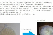 【非常食】災害時も美味しいご飯「サバメシ」を作ろう…湯せんで滑らかさが違う！