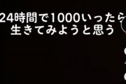 【悲報】TikTok民、何故か「2chごっこ」を始めてしまうｗｗｗｗｗ