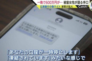 コツコツ貯めた600万円が一夜で…　「絶対引っかからないと思っていた」詐欺被害者の後悔　本物とそっくりな銀行偽サイトに警察も危機感