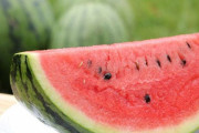 スイカがマジでヤバいと言われる3つの理由ｗｗｗ