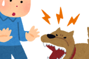 俺んちの犬がガキに噛みついてワロタｗｗｗｗｗｗｗｗ