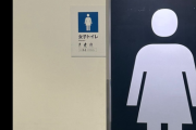 【画像】男子トイレみたいな女子トイレが見つかるwwwwwwwww