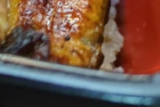 東京のうな重に世界が騒然！←「天然物なの？」（海外の反応）