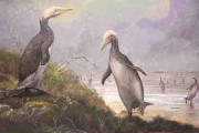 3700万年前の北半球には、ヒトの背丈と同じ大きさの”ペンギンみたいな生き物”が存在していた？