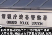 警察「これ大麻だろ！逮捕だ！」 → 科捜研「大麻じゃありません」→  警察「すみませんでした」
