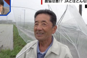 元JA職員、ブチギレ「農協を悪の組織“ショッカー”みたいに思ってるかもしれないけど、そんな組織が何十年も生き残れるわけないだろ！」