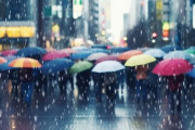 【緊急事態】徳島市、台風の中でとんでもないことをやらかす・・・