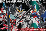 ※HGカスタマイズキャンペーンを語ろう。