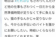 【乃木坂46】山崎怜奈、忙しすぎてアルバイト募集wwwwwwwwwwww
