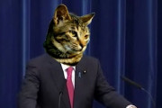 政府、顔の部分にネコの顔をデジタル合成した会見にネコフィルター採用　７月から