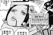 【ワンピース】　ハンコックさん、やられ姿があまりにも・・・・・・(画像あり)
