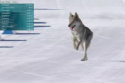 【画像】オリンピック、クロスカントリーで犬乱入ｗｗｗｗｗｗｗｗｗｗｗｗｗｗｗｗｗｗｗｗ