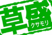 【大草原不可避】大量生産させてもっと安くすりゃいいのにwwwwwwww【モンスト】