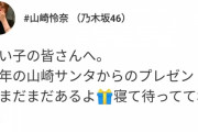 れなちさん、遂に歴史本を発売！！！【乃木坂46】