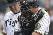 阪神・梅野隆太郎のリード、YouTuberにボロクソに言われてしまう