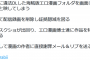 【悲報】違法DLが発覚した絵師さん、遂にTwitterまで批判が増え始める…