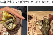 【悲報】ドンキの焼き芋に謎のキノコが入っていたと話題に