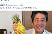 【効きすぎw】日本外交青書「台湾は極めて重要なパートナー、大切な友人」安倍前首相「台湾パインおいしそう」⇒中国「あああああああ」