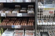 【悲報】日本人、卵すら高級品になってしまう