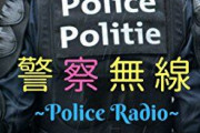 【悲報】この度警察に職質されたんだが、その理由が納得いかなすぎる・・・お廻り「バンドやってる人かな？と思って」なんだそれは?