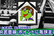 【タム速】レールの隙間にカメ挟まり、運休　JR武豊線東浦駅  [Lv★]