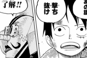 【ONEPIECE -ワンピース】ロビン「私のせいであなた達が死ぬのは耐えられない…！！」　ルフィ「・・・そげキング」