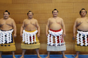 大相撲ガチで横綱になれそうなのがいない