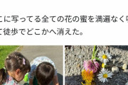 【悲報】ツイ民、感動的な「美談」にマジレスして台無しにしてしまうｗｗｗｗ