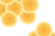 【黄色ブドウ球菌】荻野屋「峠の親子めし」で食中毒 製造販売を停止 群馬