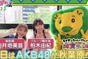 【AKB48】「ぽかぽか」に向井地美音と柏木由紀が出演！！