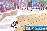【日向坂46】こさかなも参加！番組早々、異様な光景が広がるwww