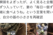 【悲報】ツイ民「妻が大量にリンツ買ってくれた」フェミ「ギャオオオン！」